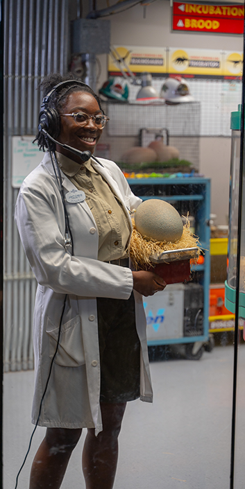 Woman holding a dinosaur egg in Jurassic park